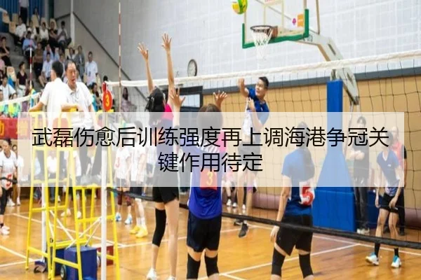 武磊伤愈后训练强度再上调海港争冠关键作用待定